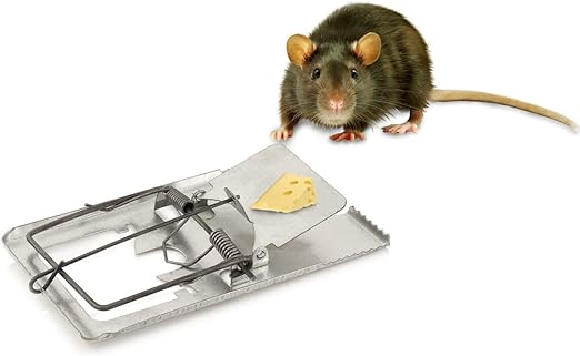 Heavy-Duty Metal Mouse Traps - Galvanized Snap Traps for Effective and Humane Mouse and Rat Control - Suitable for Indoor and Outdoor Use