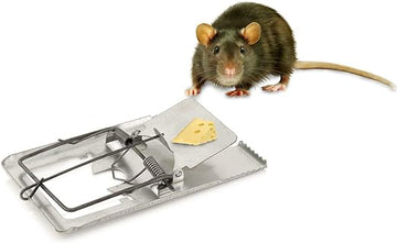 Heavy-Duty Metal Mouse Traps - Galvanized Snap Traps for Effective and Humane Mouse and Rat Control - Suitable for Indoor and Outdoor Use